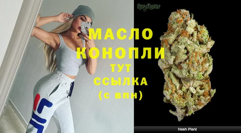 ТГК гашишное масло  mega вход  Каменка 